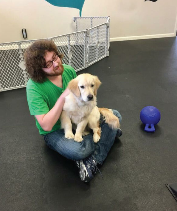 adult-dog-day-camp-marlborough-ma-2 adult-dog-day-camp-marlborough-ma-2
